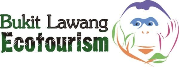 Bukit Lawang Travel