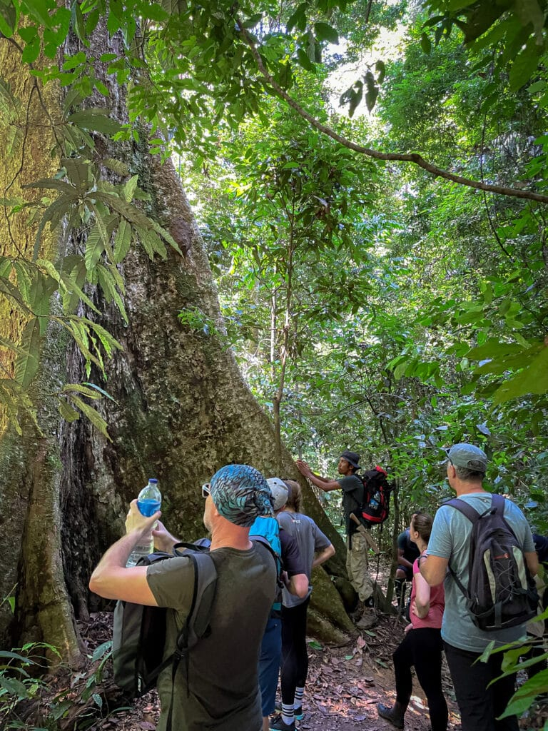 4 Days Bukit Lawang Tour