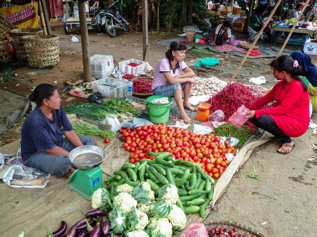 Bukit Lawang Local Markets, Food, Tuk-Tuks & Deals