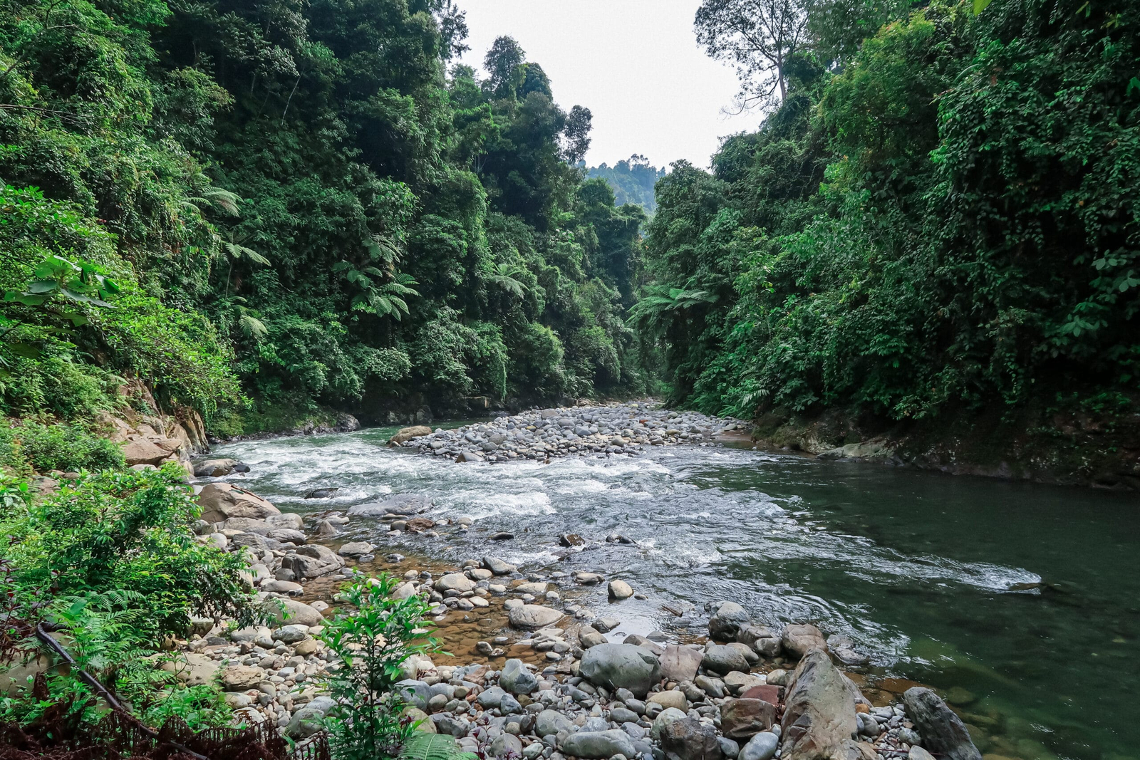 Bukit Lawang landscape and travel experience