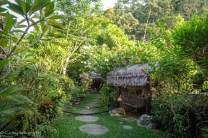 Green Travelodge Bukit Lawang Card Payments