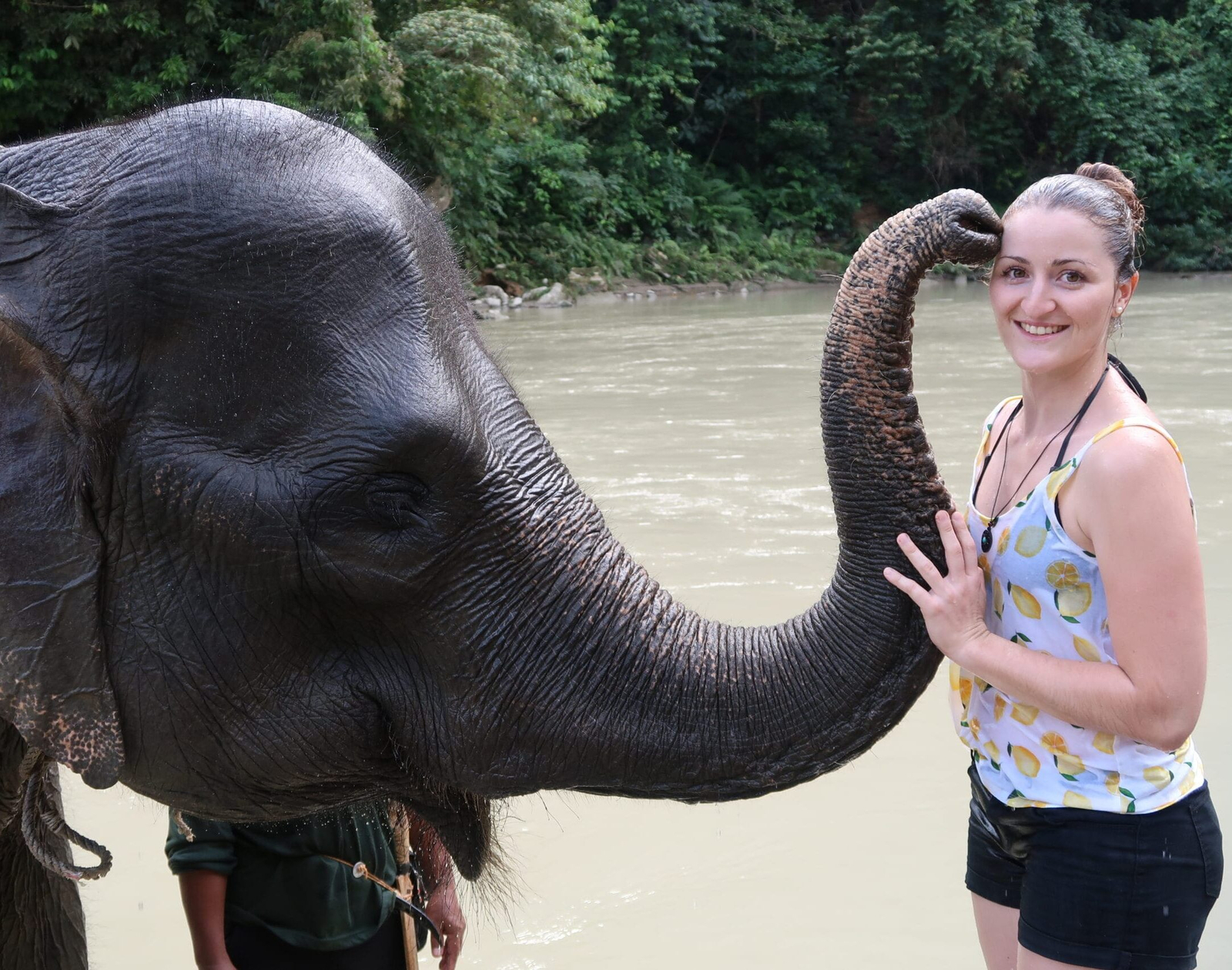 Elephant programme and river setting in Tangkahan