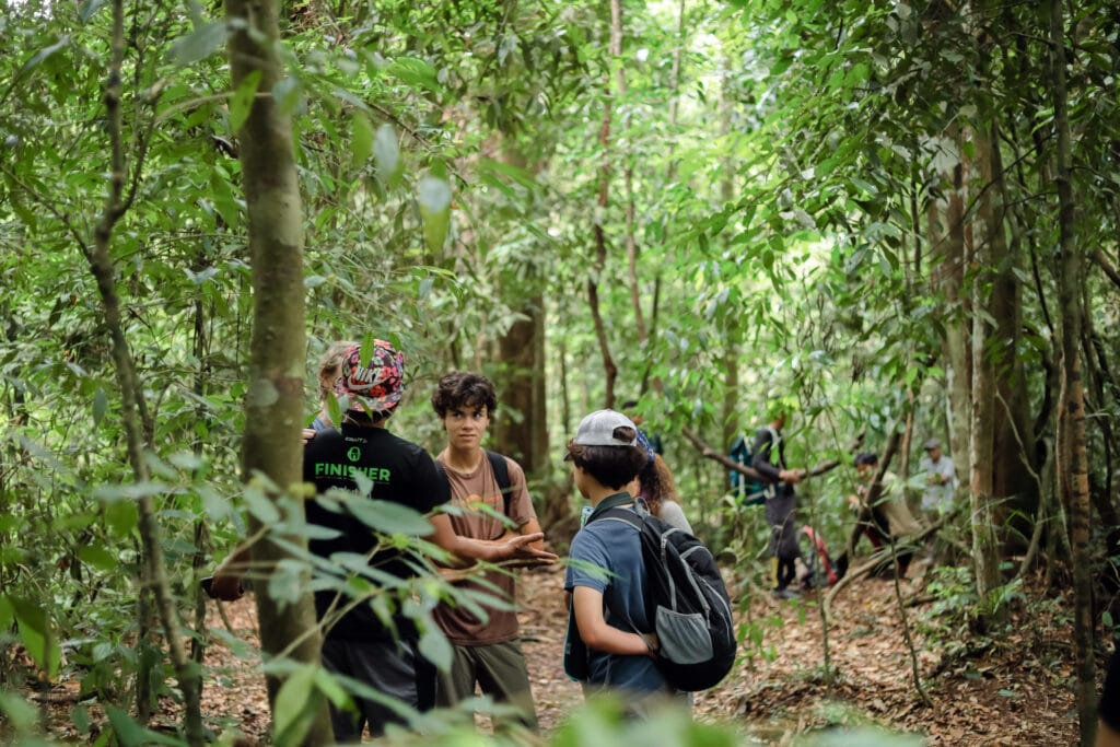 Book Your Bukit Lawang Orangutan Trek