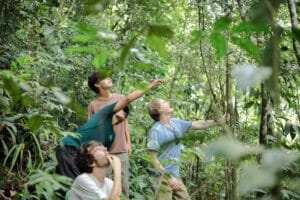 Jungle Trek and Trekking in Indonesia