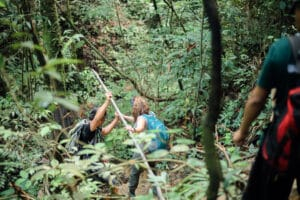 2-Day Bukit Lawang Trek or 3-Day Jungle Trek?