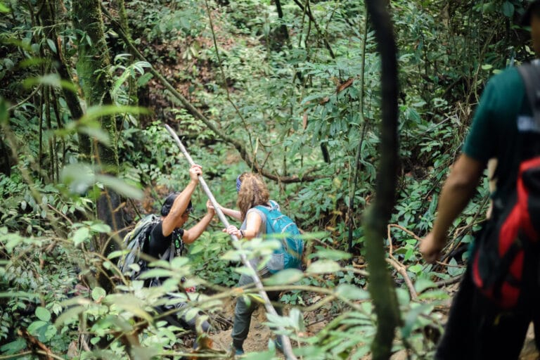 2-Day Bukit Lawang Trek or 3-Day Jungle Trek?