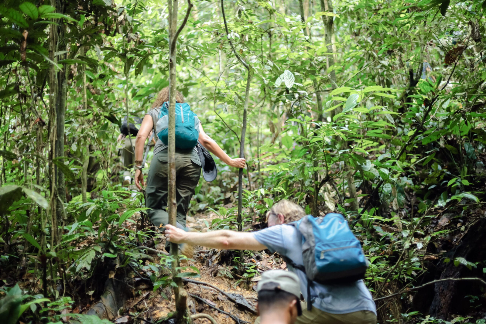 A private orangutan trekking experience in Bukit Lawang, Sumatra, Indonesia is not about rushing through the forest to collect a photo. It is a chance to move at your own pace with a certified local guide, learn how the rainforest works, and look for wild orangutans with the space and care they deserve. Bukit Lawang sits beside Gunung Leuser National Park, one of the most important remaining rainforest habitats for the critically endangered Sumatran orangutan. A private trek gives couples, families, solo travelers, and small groups a more personal way to experience this extraordinary place while supporting responsible, locally led tourism.