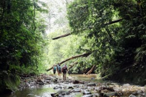 Sumatra Wildlife Tour and Bukit Lawang Hiking