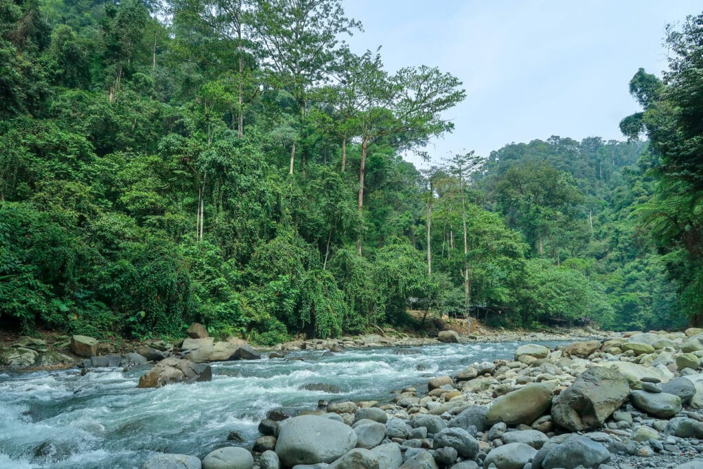 Trekking Adventure Bukit Lawang