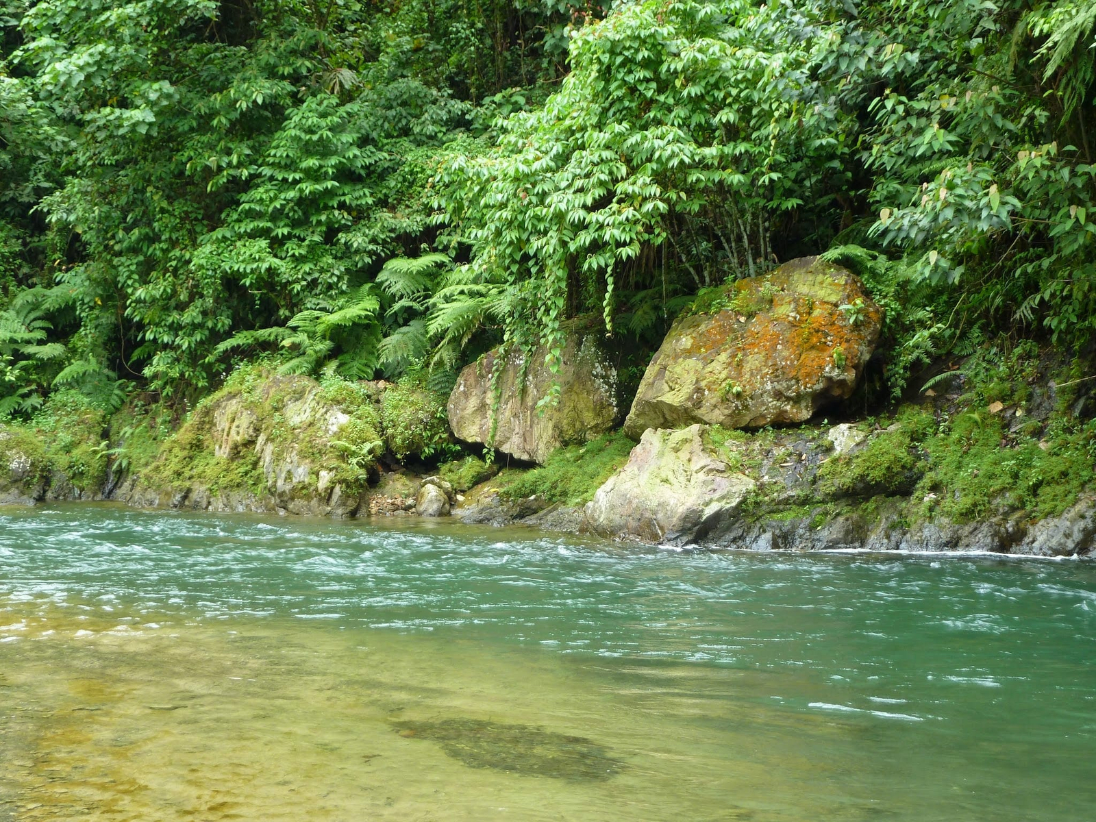 Clear tropical river beside the rainforest in Bukit Lawang