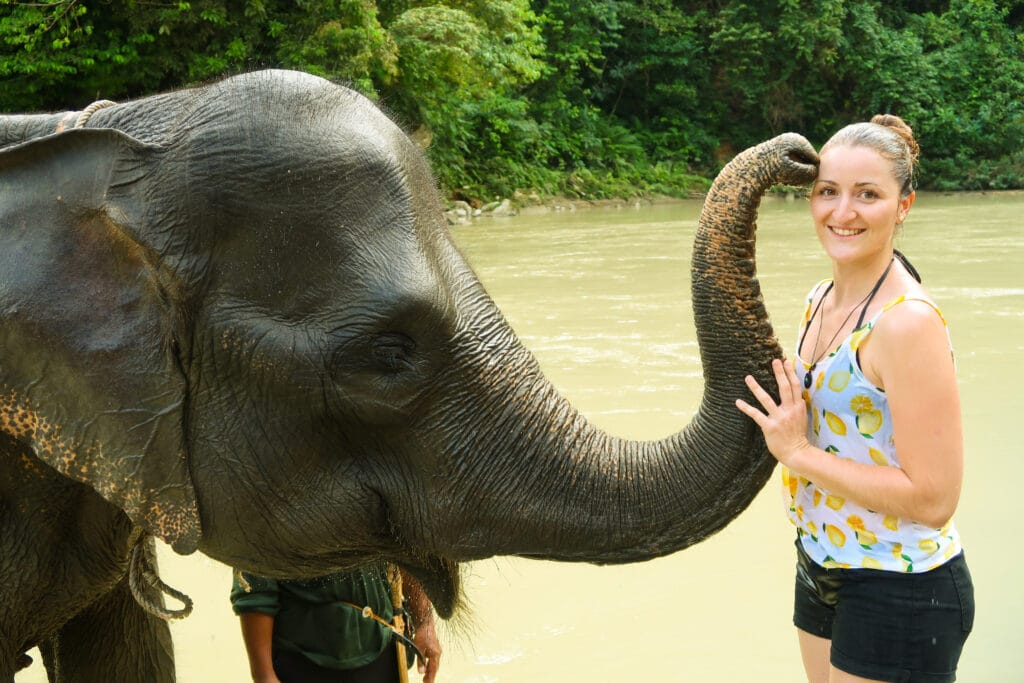 Tangkahan Tourist Places, Hotels, Restaurants & Travel