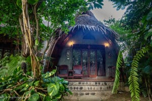 Bukit Lawang Hostels, Guesthouses and Bungalows
