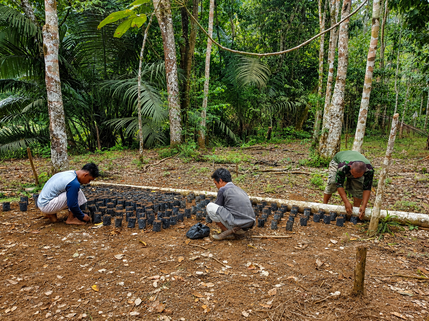 Premium orangutan trekking scene in Bukit Lawang