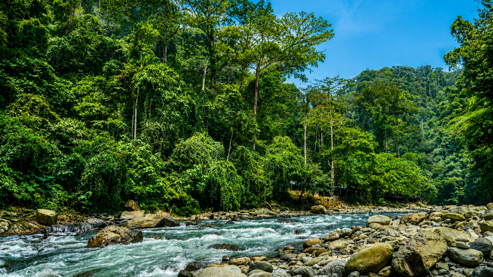 Guests enjoying their Bukit Lawang jungle adventure