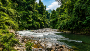 Bukit Lawang River and Jungle Survival in Sumatra