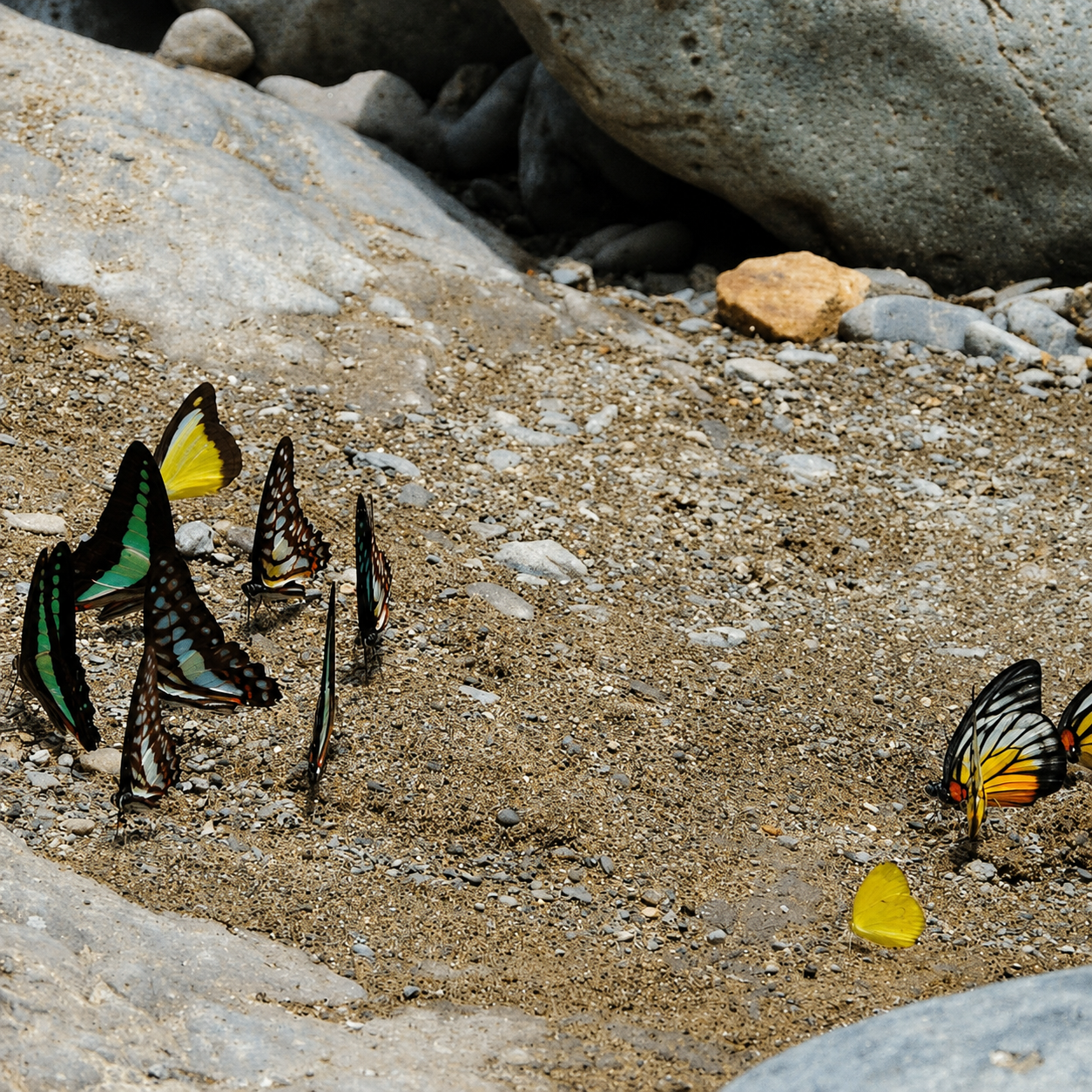 Eco-conscious jungle trekking and responsible hygiene in Bukit Lawang