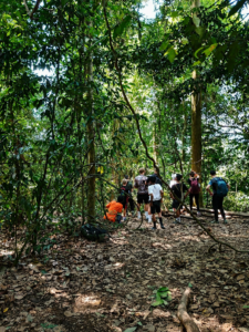 Bukit Lawang for Families and Young Explorers
