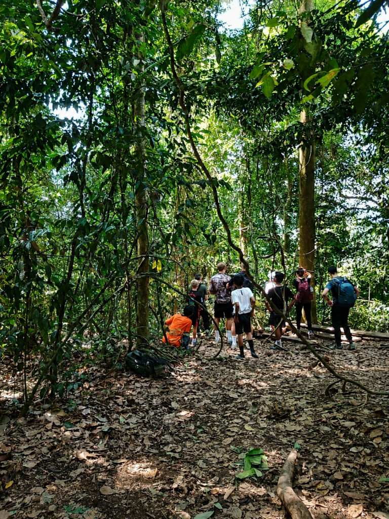 Bukit Lawang for Families and Young Explorers