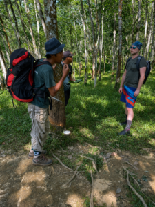 How to Book Certified Local Guides in Bukit Lawang