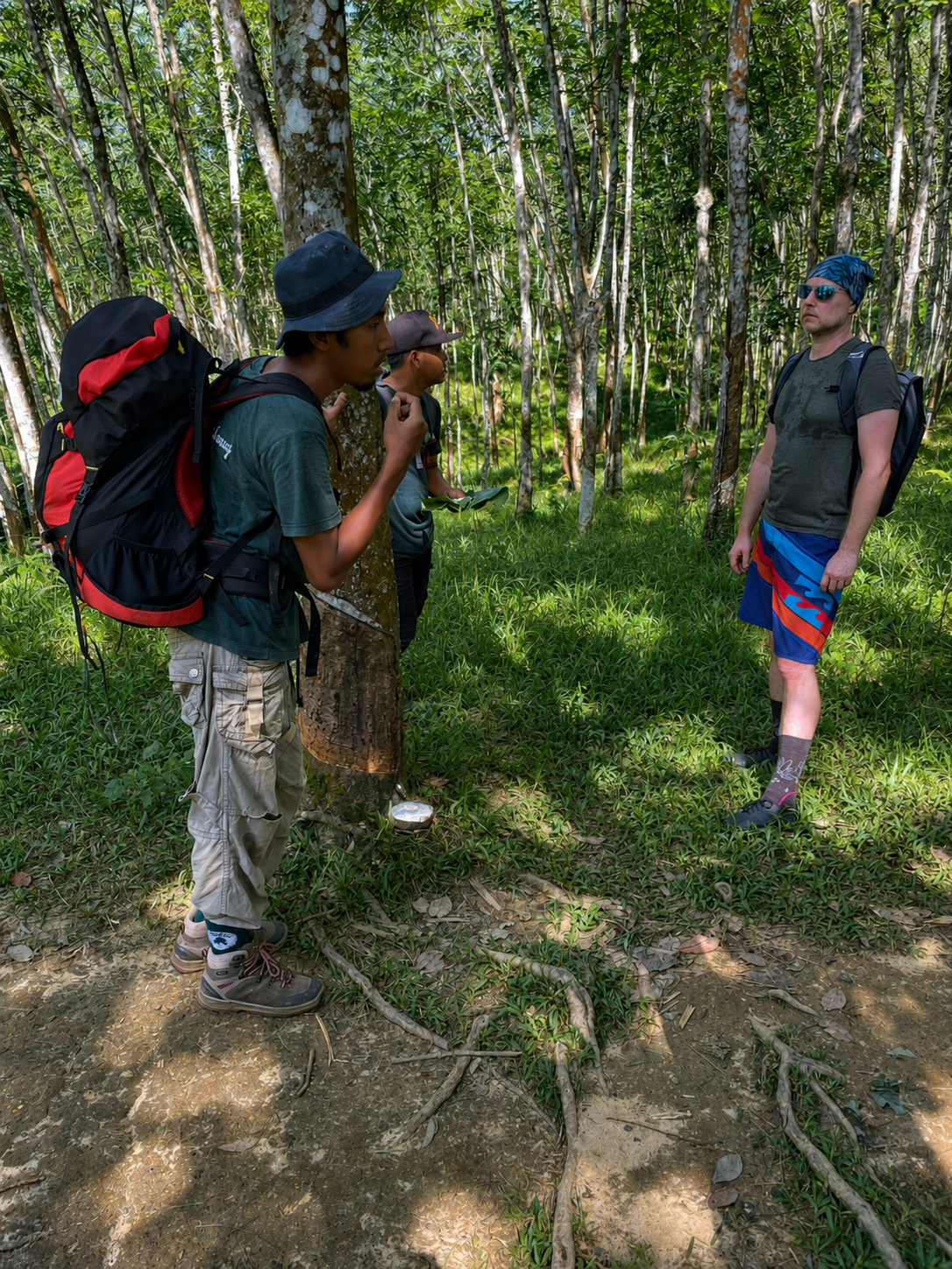 How to Book Certified Local Guides in Bukit Lawang