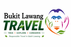 Orangutan Jungle Trekking in Bukit Lawang