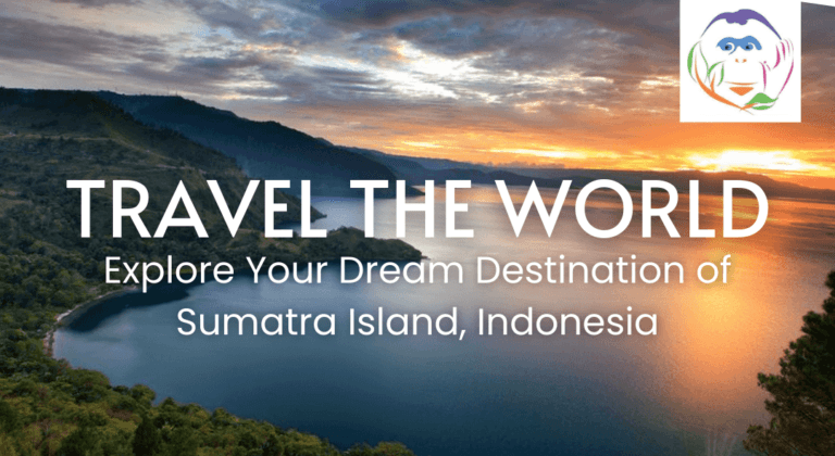 Lake Toba Tour and Bukit Lawang Tour Guide