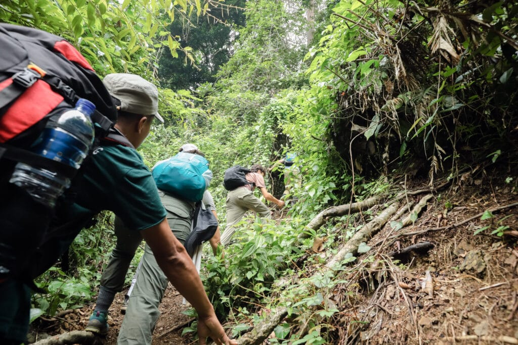 How to Choose a Bukit Lawang Trekking Package