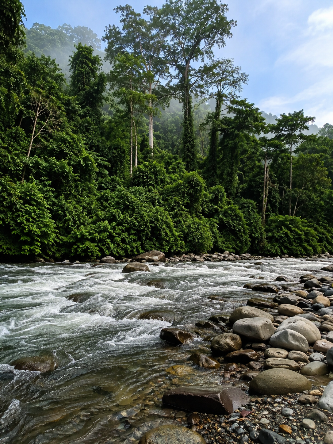The Leuser Ecosystem and Bukit Lawang River