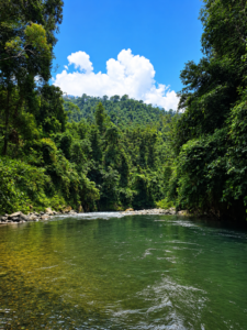 Why Bukit Lawang Is Worth the Journey