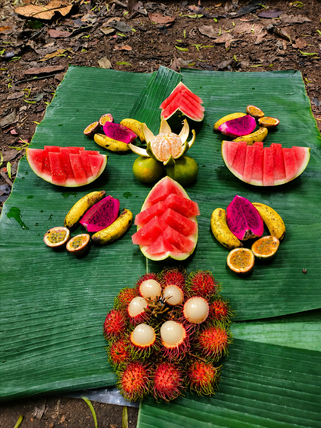 River and rainforest experience in Bukit Lawang