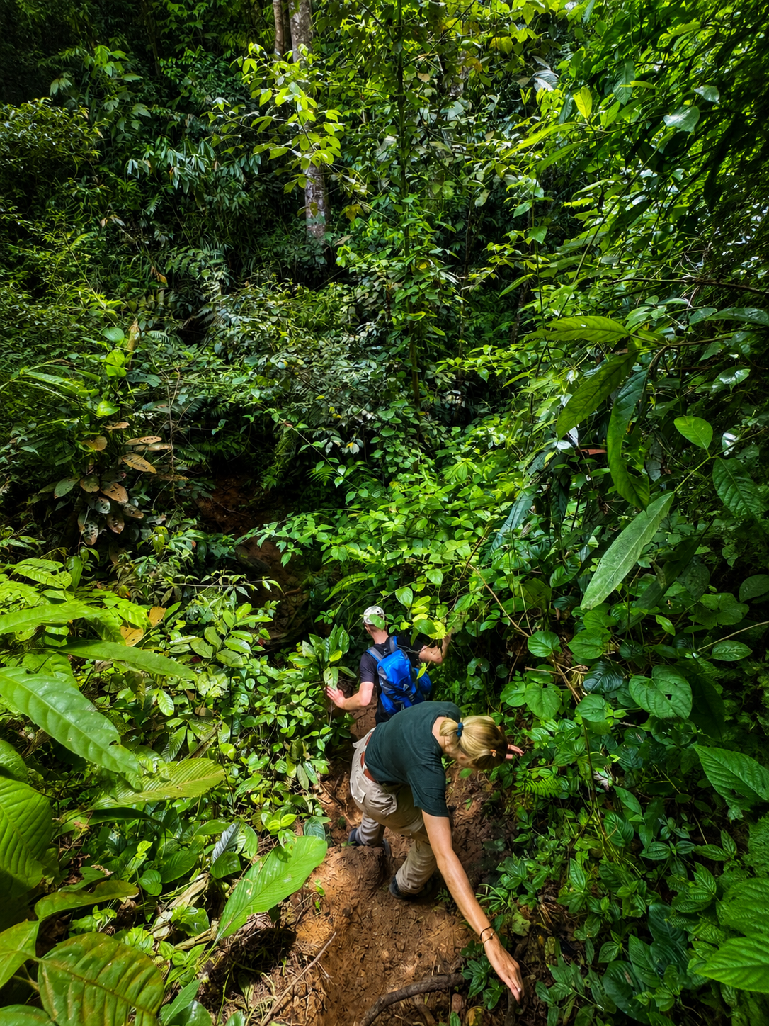 Overnight jungle trekking camp equipment