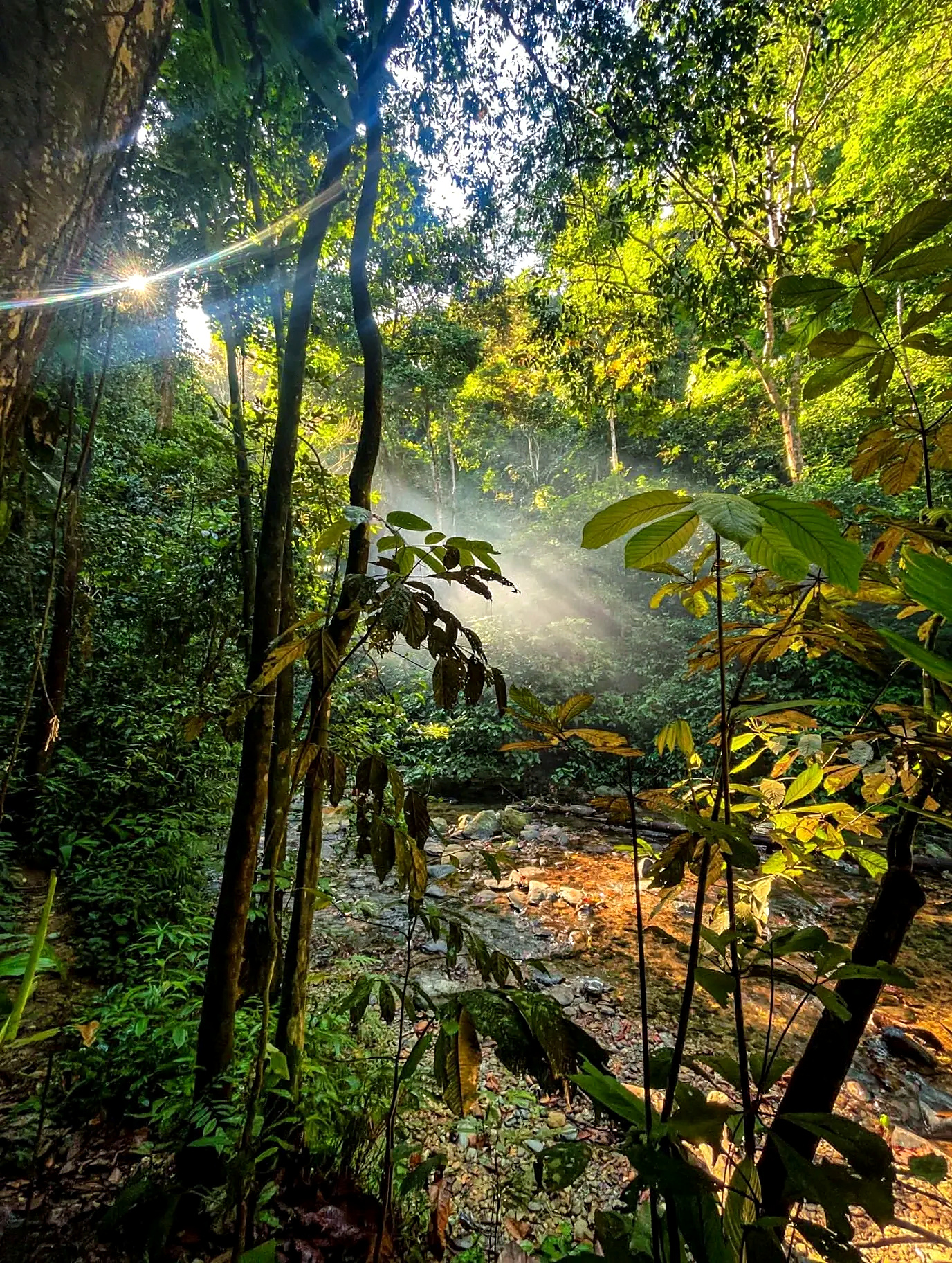 Jungle camping in Bukit Lawang, Sumatra