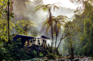 What to Expect at a Sumatran Jungle Campsite