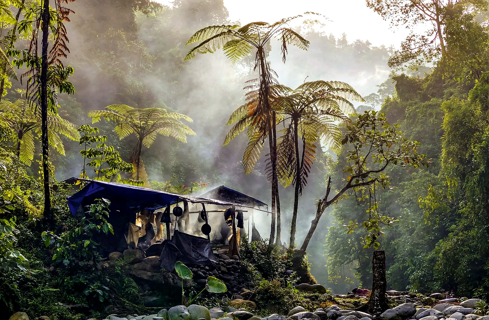 What to Expect at a Sumatran Jungle Campsite