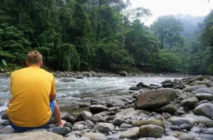 Bukit Lawang Village Life Beyond the Forest