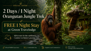 Special Direct Booking Offer · Bukit Lawang 2 Days / 1 Night Orangutan Jungle Trek