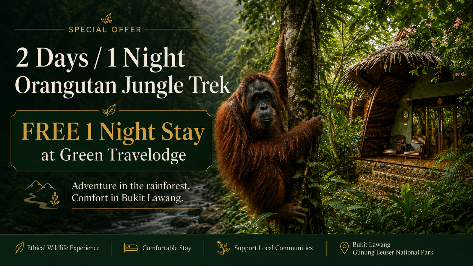 Special Direct Booking Offer · Bukit Lawang 2 Days / 1 Night Orangutan Jungle Trek