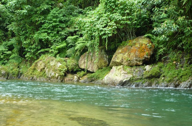 Bukit Lawang travel